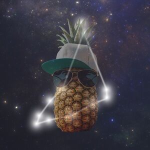 ♑️ 🦁 🍍 🍍 🦁 🍍 🍍 🦁 🍍 🍍 🕶️🍍🍍( ◠‿◠ )